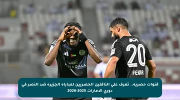 قنوات حصرية.. تعرف على الناقلين الحصريين لمباراة الجزيرة ضد النصر في دوري الإمارات 2025-2026